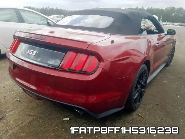 1FATP8FF1H5316238_4.webp