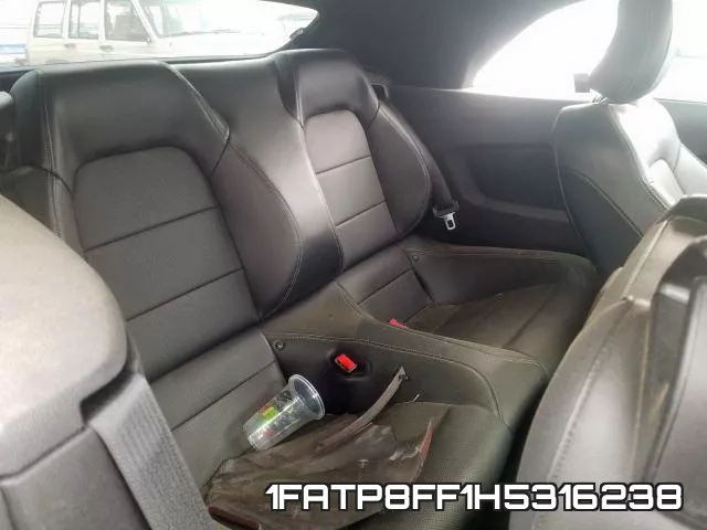 1FATP8FF1H5316238_6.webp
