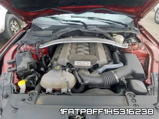 1FATP8FF1H5316238_7.webp