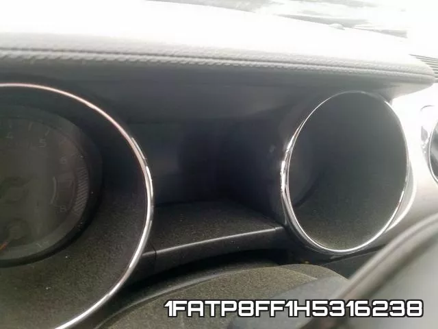 1FATP8FF1H5316238_8.webp