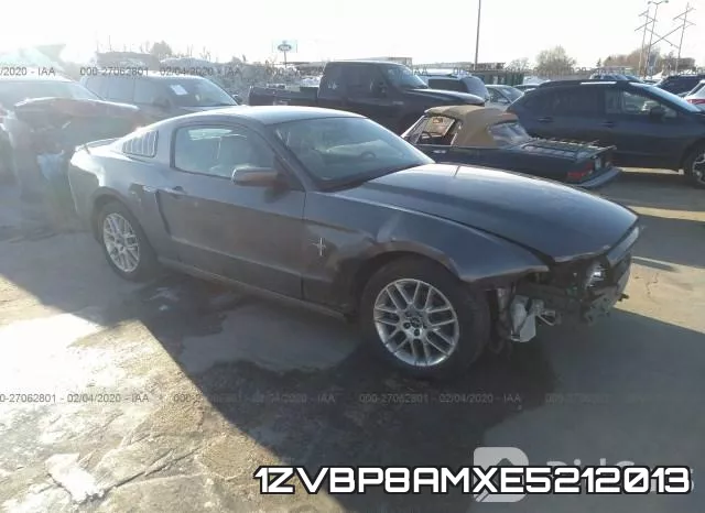 1ZVBP8AMXE5212013