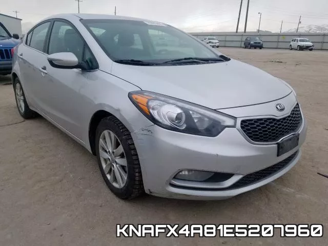 KNAFX4A81E5207960