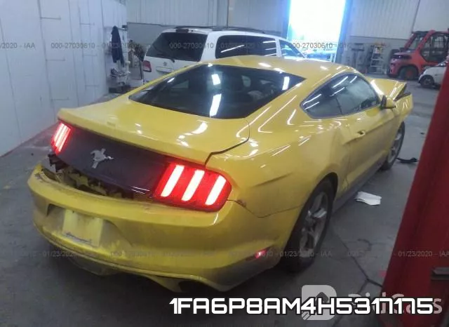 1FA6P8AM4H5317175_4.webp