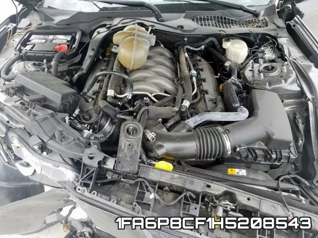 1FA6P8CF1H5208543_7.webp