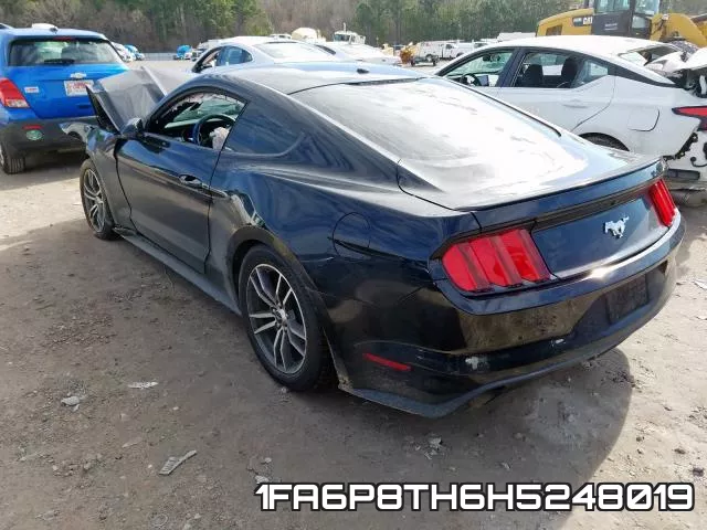 1FA6P8TH6H5248019