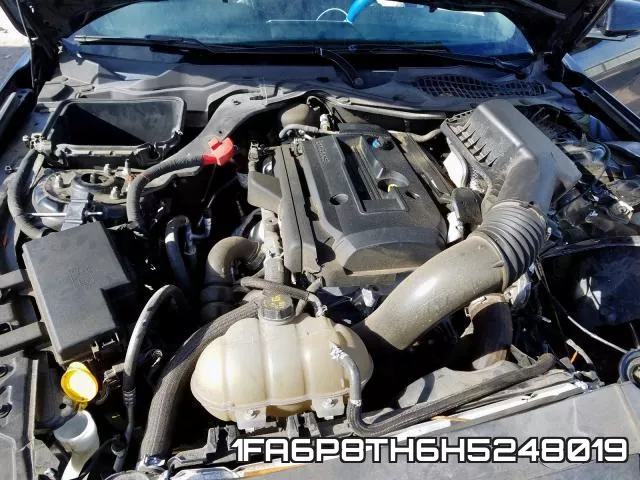 1FA6P8TH6H5248019_7.webp