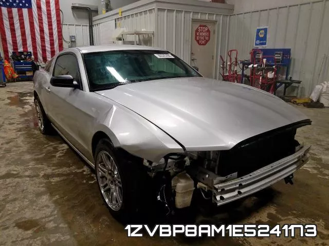 1ZVBP8AM1E5241173