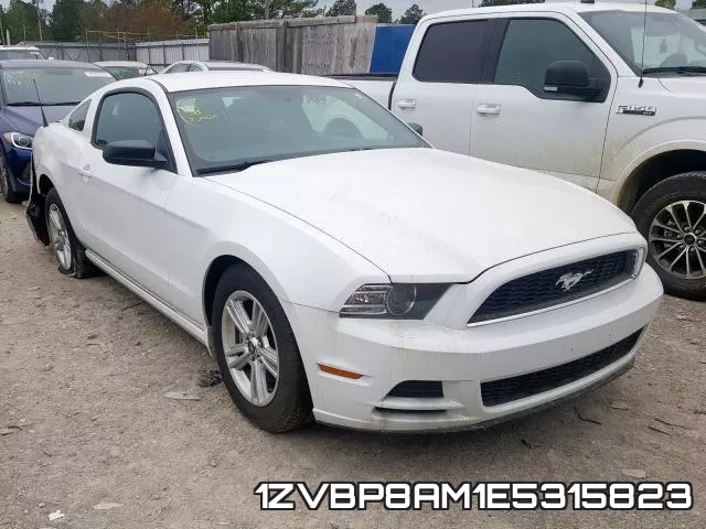 1ZVBP8AM1E5315823
