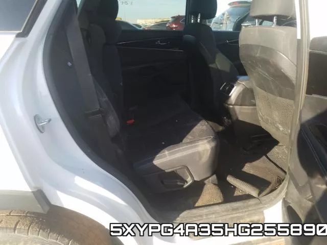 5XYPG4A35HG255890_6.webp