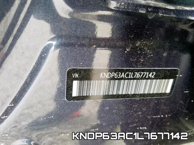 KNDP63AC1L7677142_10.webp