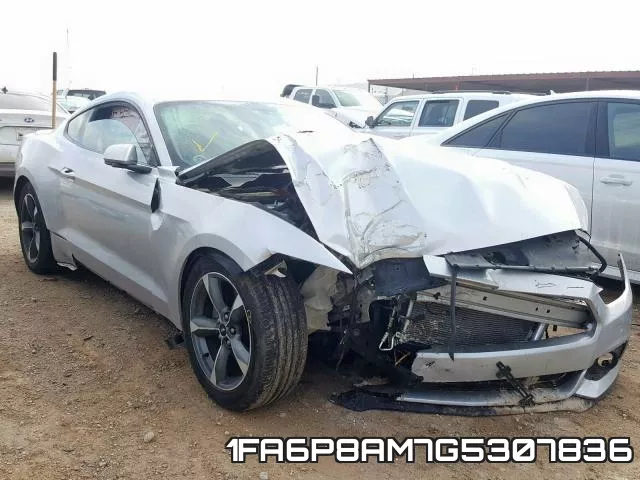 1FA6P8AM7G5307836