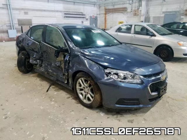 1G11C5SL0EF265787