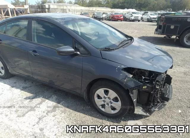 KNAFK4A60G5563381