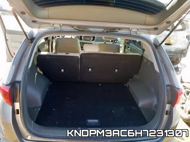KNDPM3AC6H7231307_9.webp