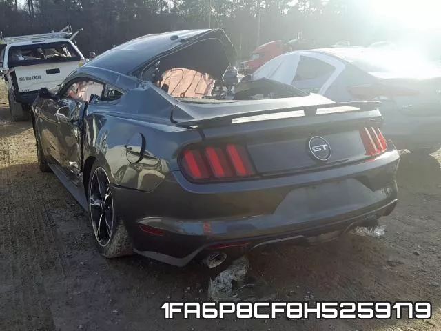 1FA6P8CF8H5259179_3.webp
