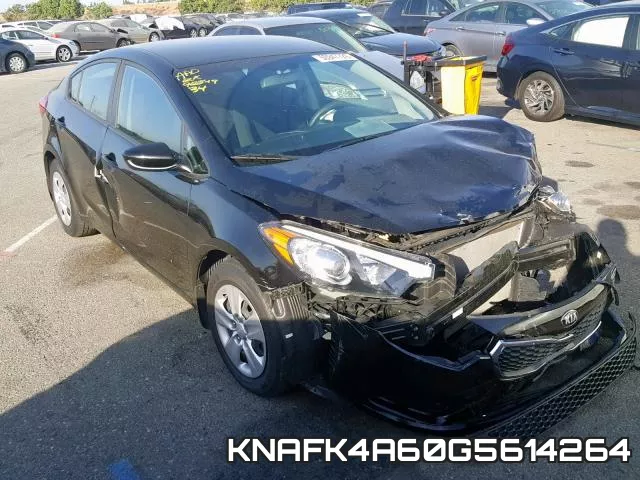 KNAFK4A60G5614264