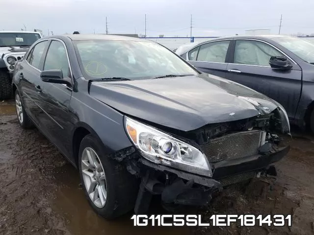 1G11C5SL1EF181431