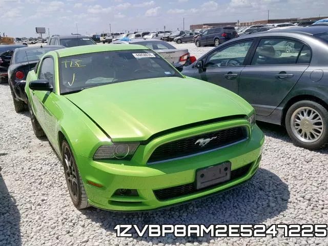 1ZVBP8AM2E5247225