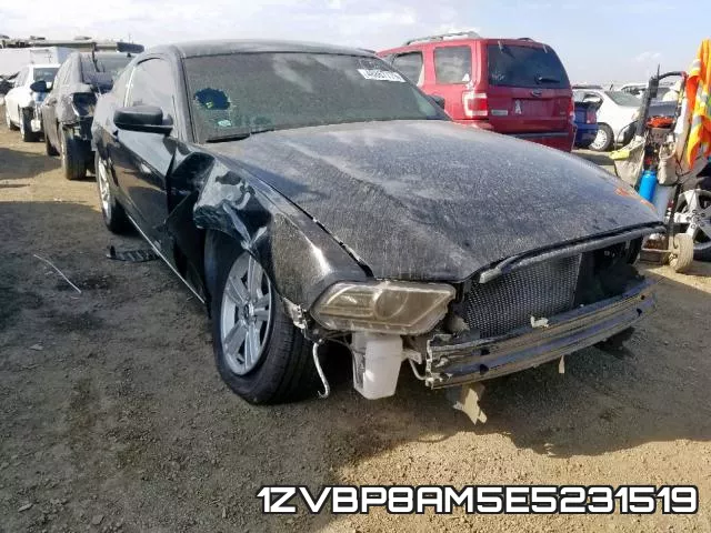 1ZVBP8AM5E5231519