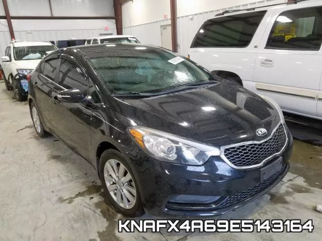 KNAFX4A69E5143164