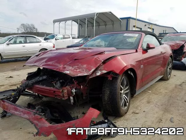 1FATP8FF9H5324202_2.webp