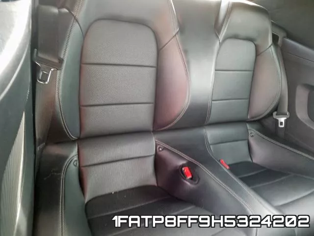 1FATP8FF9H5324202_6.webp