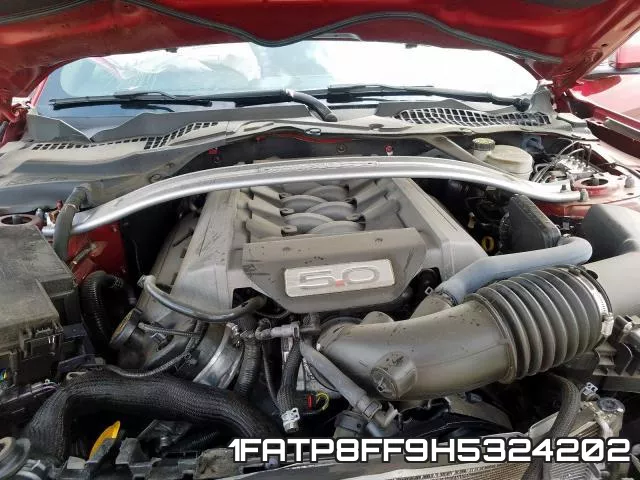 1FATP8FF9H5324202_7.webp