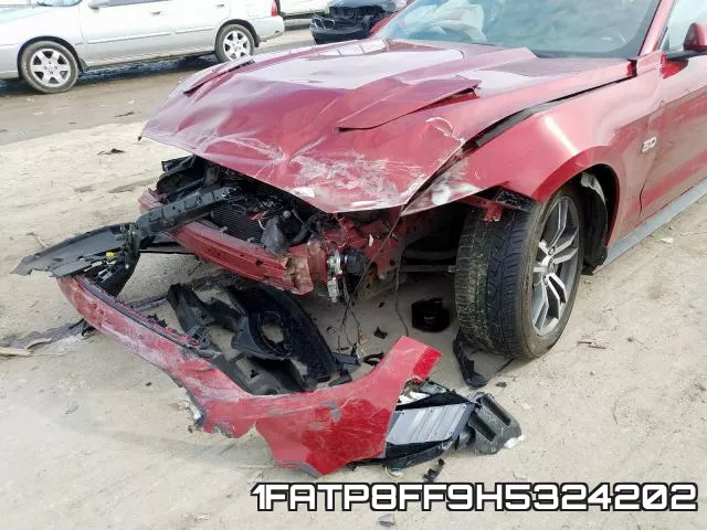 1FATP8FF9H5324202_9.webp