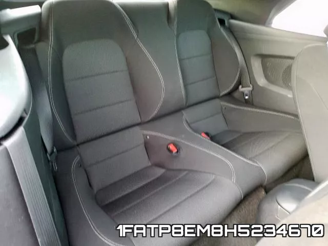 1FATP8EM8H5234670_6.webp