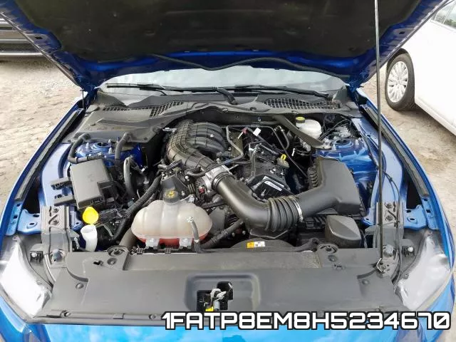 1FATP8EM8H5234670_7.webp