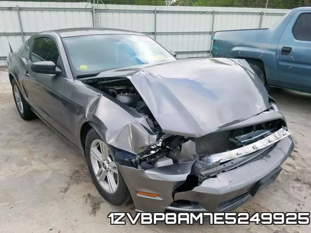 1ZVBP8AM7E5249925