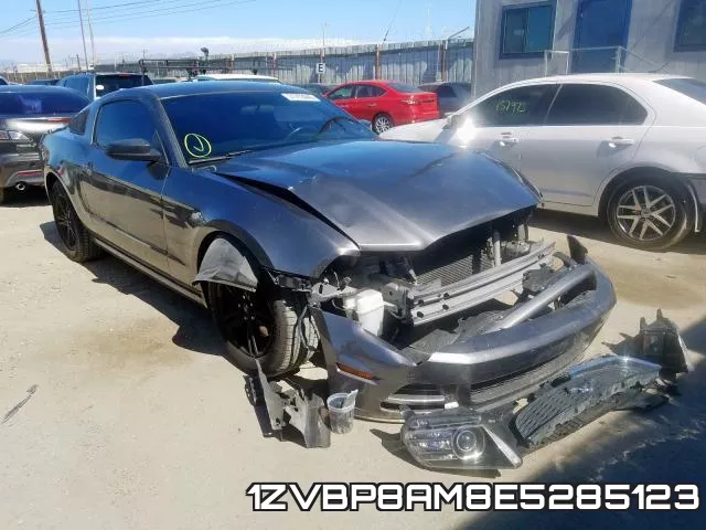 1ZVBP8AM8E5285123