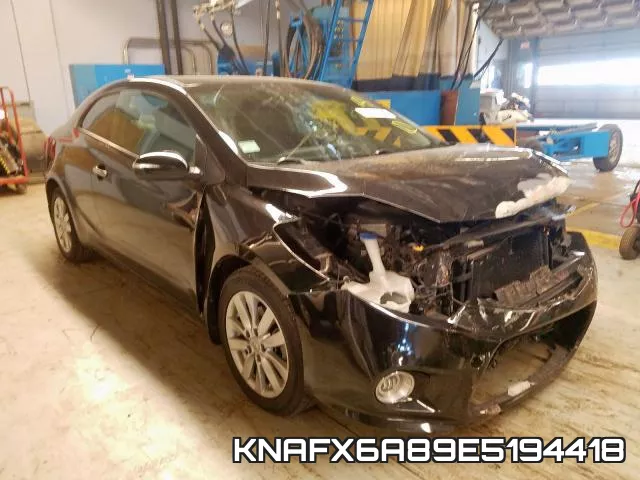KNAFX6A89E5194418