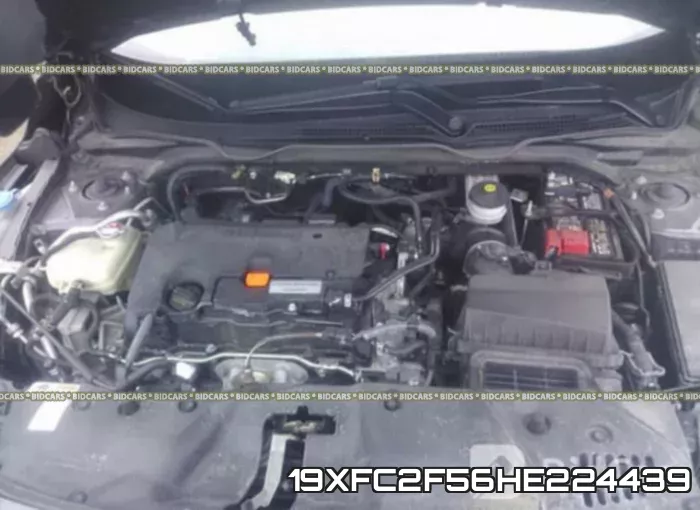 19XFC2F56HE224439_10.webp