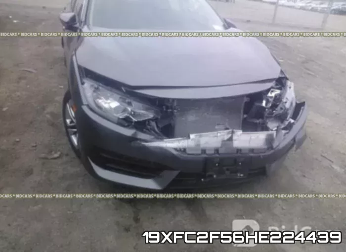 19XFC2F56HE224439_6.webp
