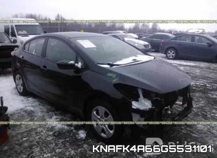 KNAFK4A66G5531101