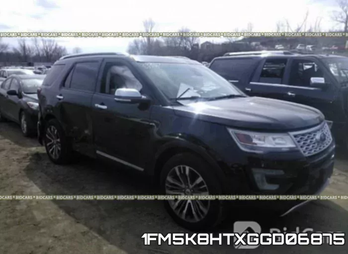 1FM5K8HTXGGD06875