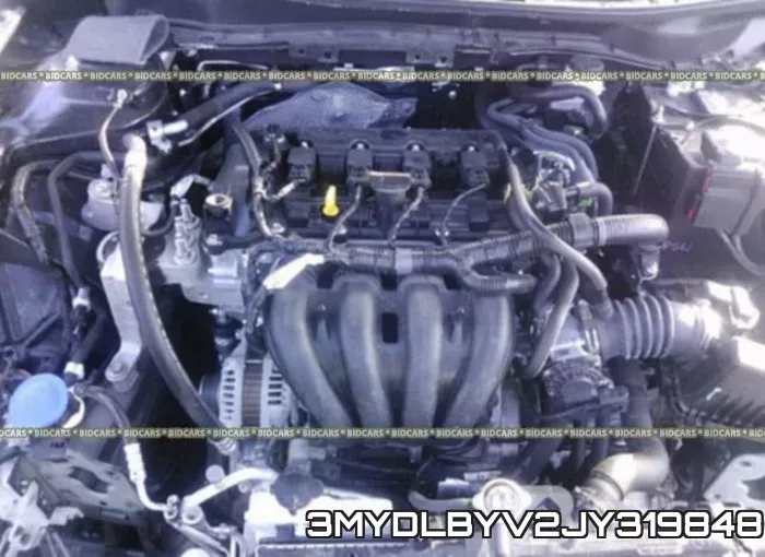 3MYDLBYV2JY319848