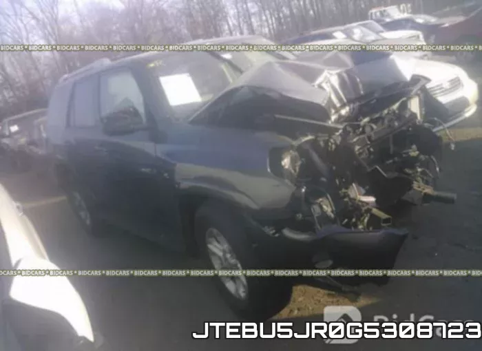 JTEBU5JR0G5308723