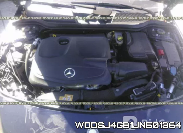 WDDSJ4GB1JN501364_10.webp
