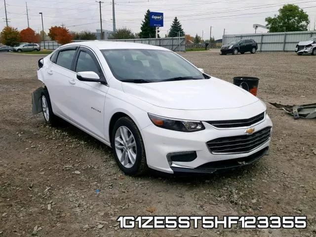 1G1ZE5ST5HF123355_1.webp
