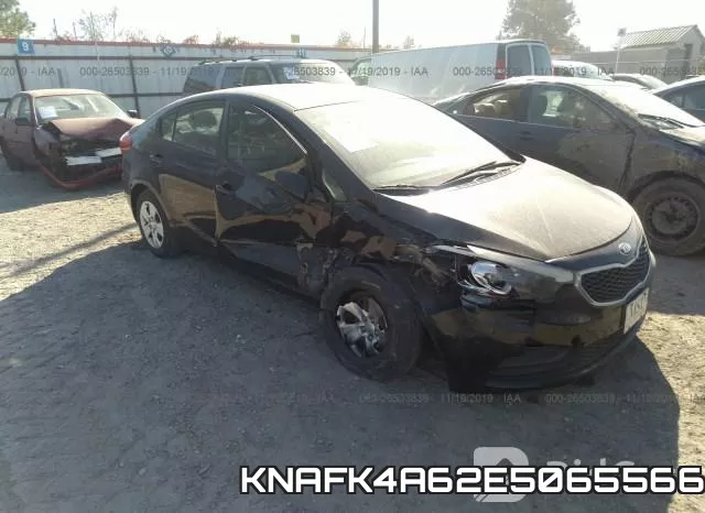 KNAFK4A62E5065566