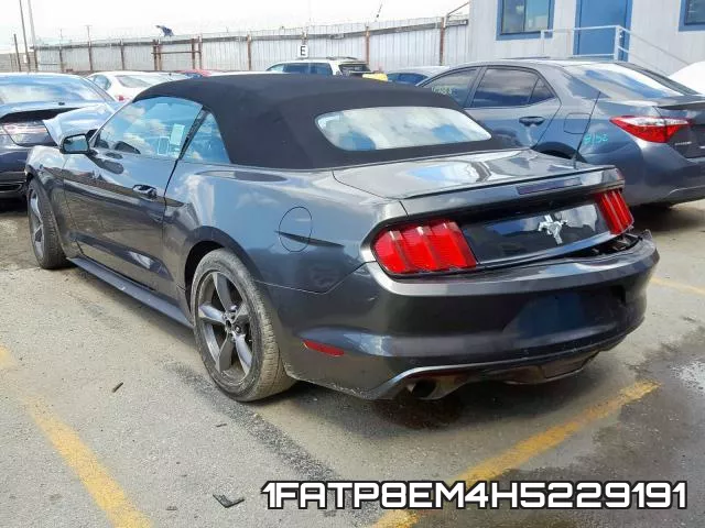 1FATP8EM4H5229191_3.webp