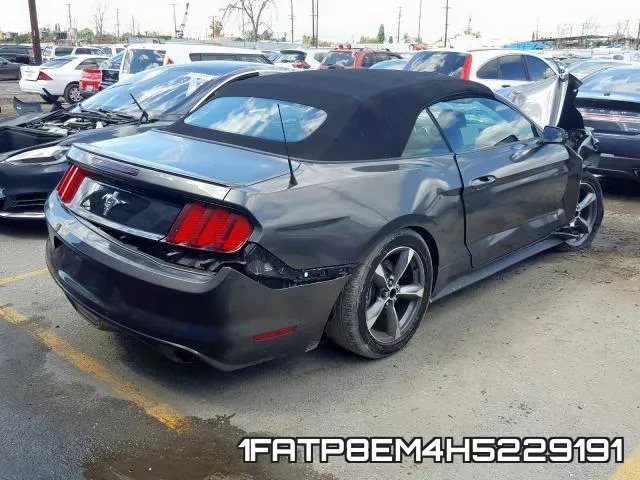 1FATP8EM4H5229191_4.webp