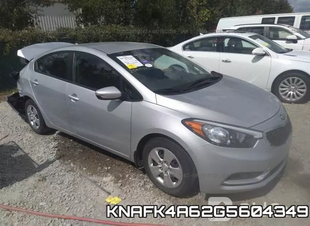 KNAFK4A62G5604349
