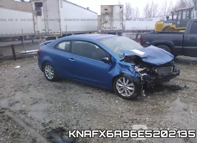 KNAFX6A86E5202135