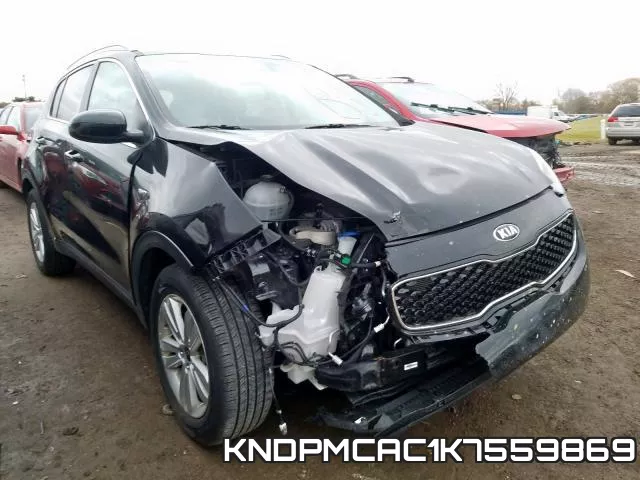 KNDPMCAC1K7559869_1.webp