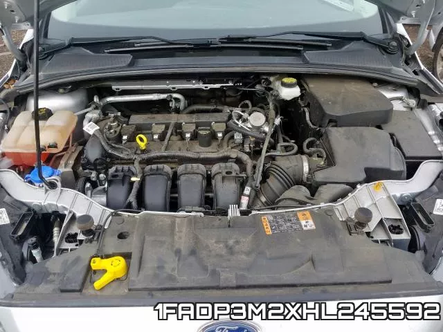 1FADP3M2XHL245592