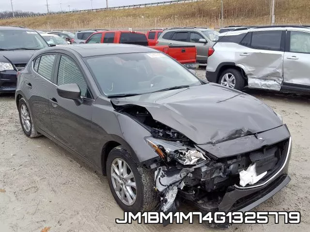 JM1BM1M74G1325779