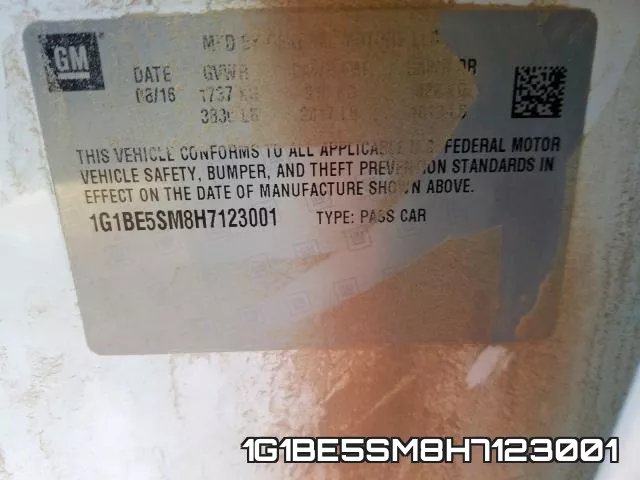 1G1BE5SM8H7123001_10.webp